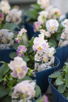 写真 2025-11-15 16 56 05_R_1