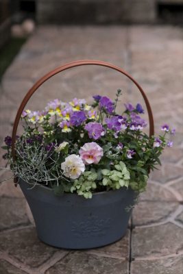 写真 2025-11-13 16 36 48_R_1