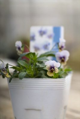 写真 2025-11-19 15 48 12_R_1