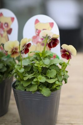 写真 2025-11-24 15 46 14_R_1