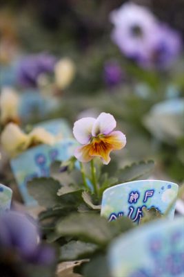 写真 2025-11-27 16 50 07_R_1