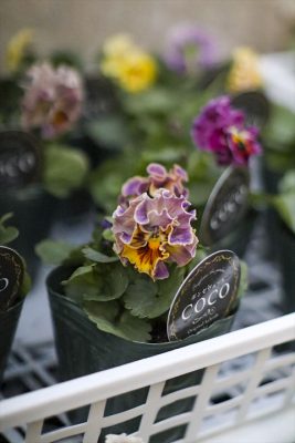 写真 2025-11-30 16 52 25_R_1