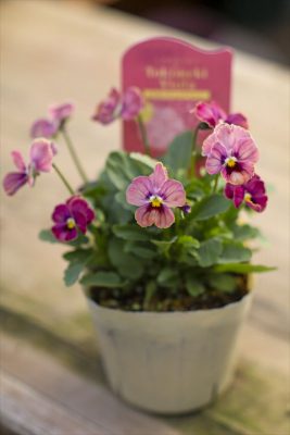 写真 2025-11-06 15 45 57_R_1