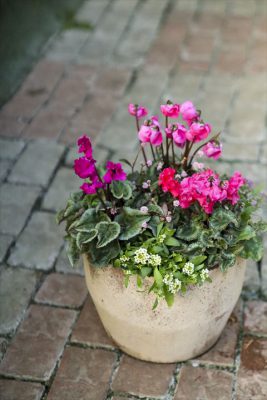 写真 2025-11-01 16 39 47_R_1