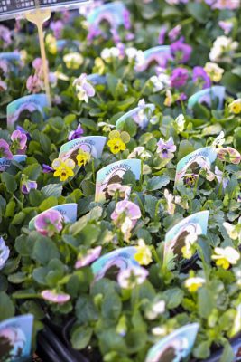 写真 2025-11-14 8 24 26_R_1