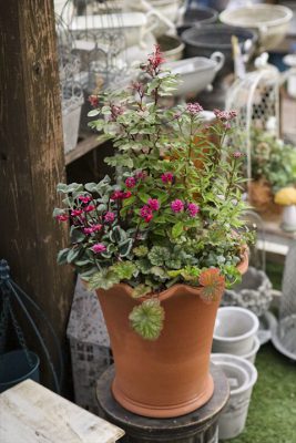 写真 2025-10-31 16 49 29_R_1