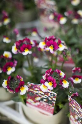 写真 2025-11-21 16 57 51_R_1