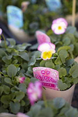 写真 2025-11-15 16 46 15_R_1