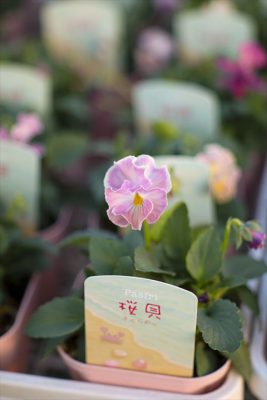 写真 2025-11-23 16 53 04_R_1