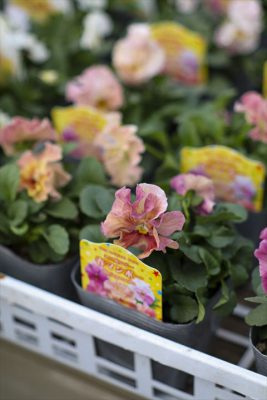 写真 2025-11-13 16 30 48_R_1