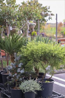 写真 2025-11-26 16 05 31_R_1