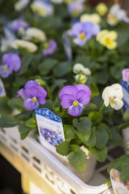 写真 2025-11-06 15 54 39_R_1