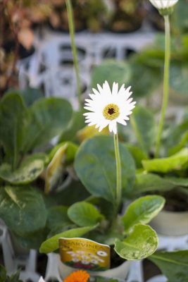 写真 2025-11-01 16 43 55_R_1