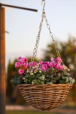 写真 2025-11-20 16 46 09_R_1