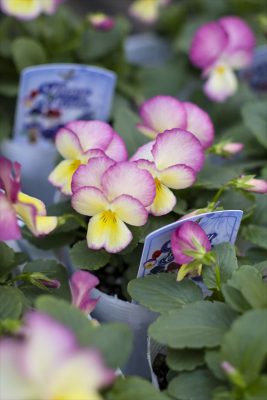 写真 2025-10-30 16 51 03_R_1