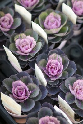 写真 2025-11-21 16 55 58_R_1