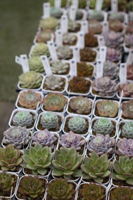 写真 2025-11-13 16 29 46_R_1