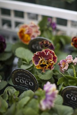 写真 2025-11-30 16 52 01_R_1