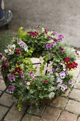 写真 2025-10-31 16 35 54_R_1