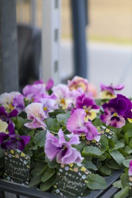 写真 2025-11-19 15 48 58_R_1