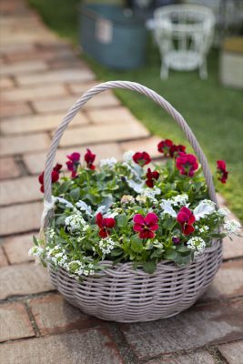 写真 2025-11-14 8 21 55_R_1