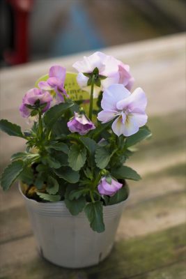 写真 2025-11-06 15 48 10_R_1