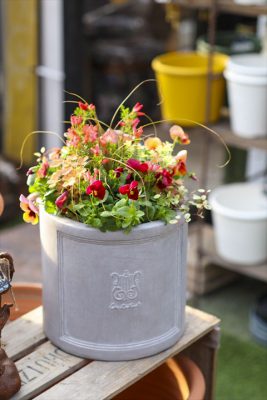 写真 2025-11-14 8 20 41_R_1