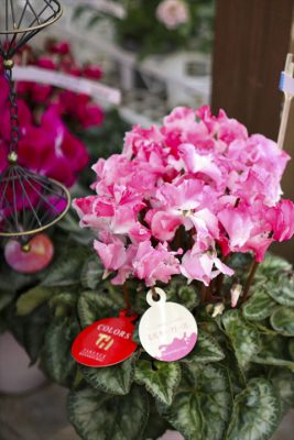 写真 2025-11-26 16 01 46_R_1