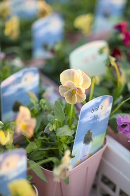 写真 2025-11-23 16 52 13_R_1