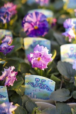 写真 2025-11-20 16 35 30_R_1