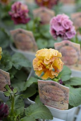 写真 2025-11-02 13 03 33_R_1