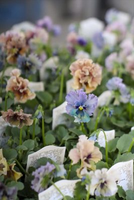 写真 2025-11-19 15 47 12_R_1