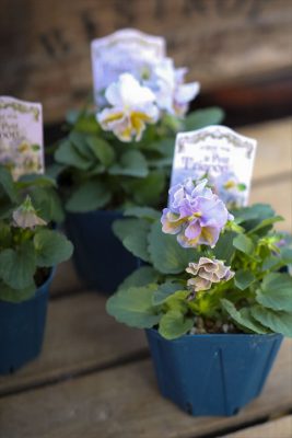 写真 2025-11-07 16 10 01_R_1