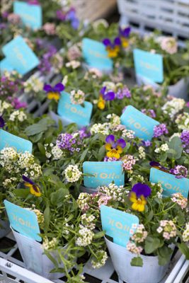 写真 2025-11-18 16 28 53_R_1