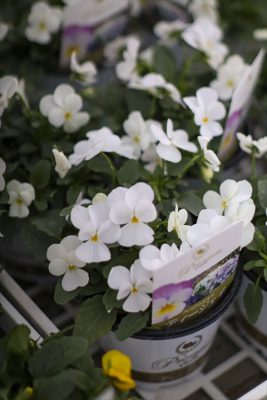 写真 2025-11-08 16 35 12_R_1