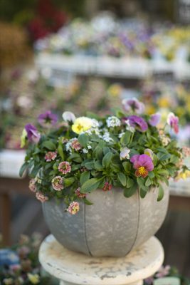 写真 2025-11-23 16 54 25_R_1