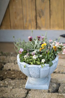 写真 2025-11-03 17 00 12_R_1