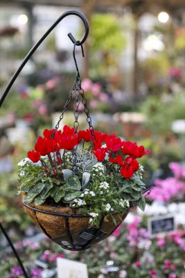 写真 2025-11-21 17 02 24_R_1