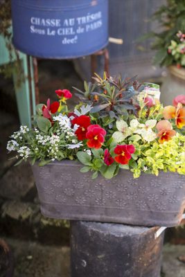 写真 2025-11-15 16 47 08_R_1