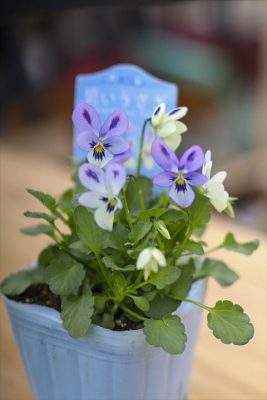 写真 2025-11-19 15 43 36_R_1