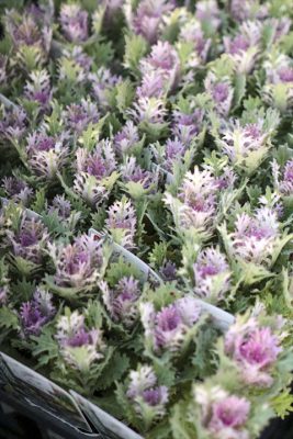 写真 2025-11-21 16 55 24_R_1