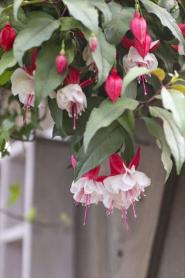 写真 2025-11-25 7 51 21_R_1