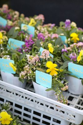 写真 2025-11-18 16 28 36_R_1