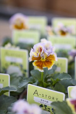 写真 2025-11-21 16 11 08_R_1