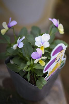 写真 2025-11-13 15 11 29_R_1