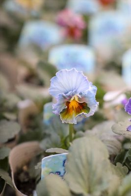 写真 2025-11-27 16 48 19_R_1