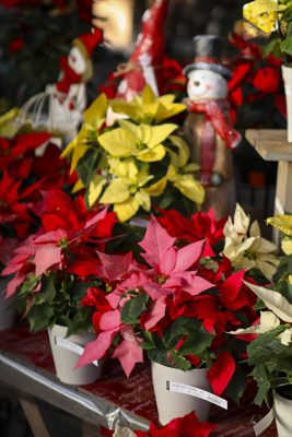 写真 2025-11-06 15 56 10_R_1