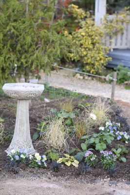 写真 2025-11-30 17 00 37_R_1