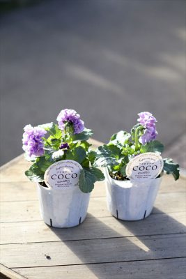 写真 2025-12-22 9 43 50_R_1