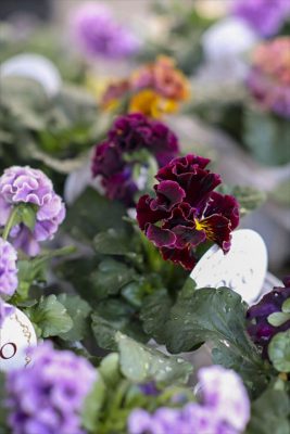 写真 2025-12-10 16 22 39_R_1